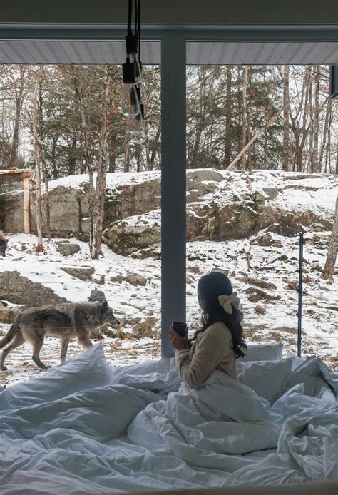 parc omega wolf cabin cost